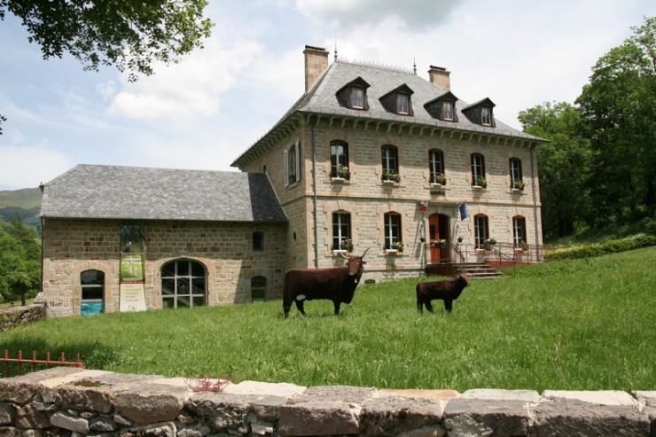 Maison de Site à Mandailles-Saint-Julien